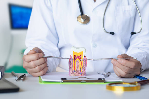 Best Emergency Treatment for Dental Infections or Abscesses in Brookfield, MO